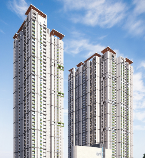 Developer render